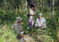 Salakpra's rangers help conduct forest surveys